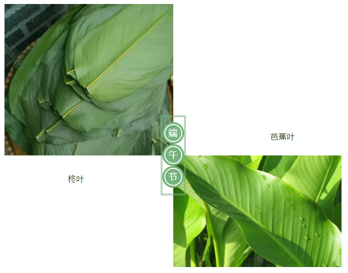 jinnian金年会医纺