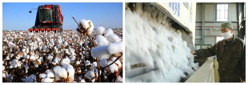 jinnian金年会医纺